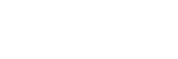 University of South Florida